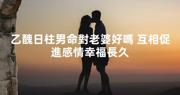 乙醜日柱男命對老婆好嗎 互相促進感情幸福長久